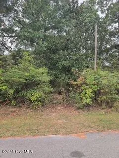 $10,500 | 131 Powhatan Trail, Edenton, NC 27932