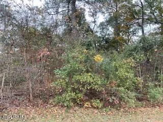 $10,500 | 131 Powhatan Trail, Edenton, NC 27932