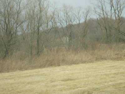 0 County Rd 33 Somerset, OH 43783 - Photo 3 of 4