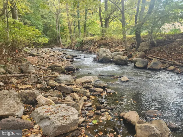 a view of a forest with trees