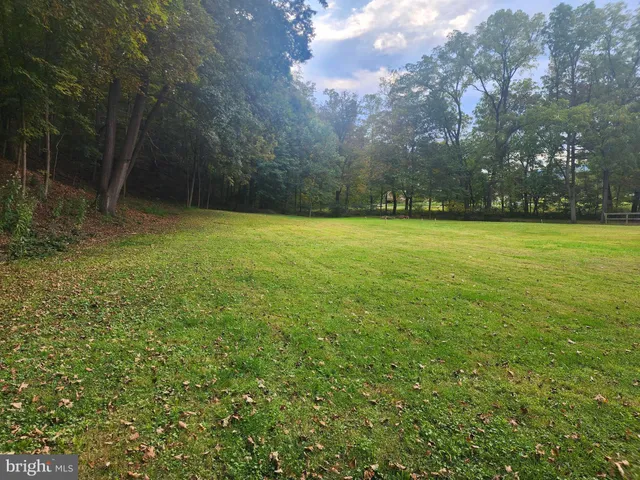 a view of a field with an trees