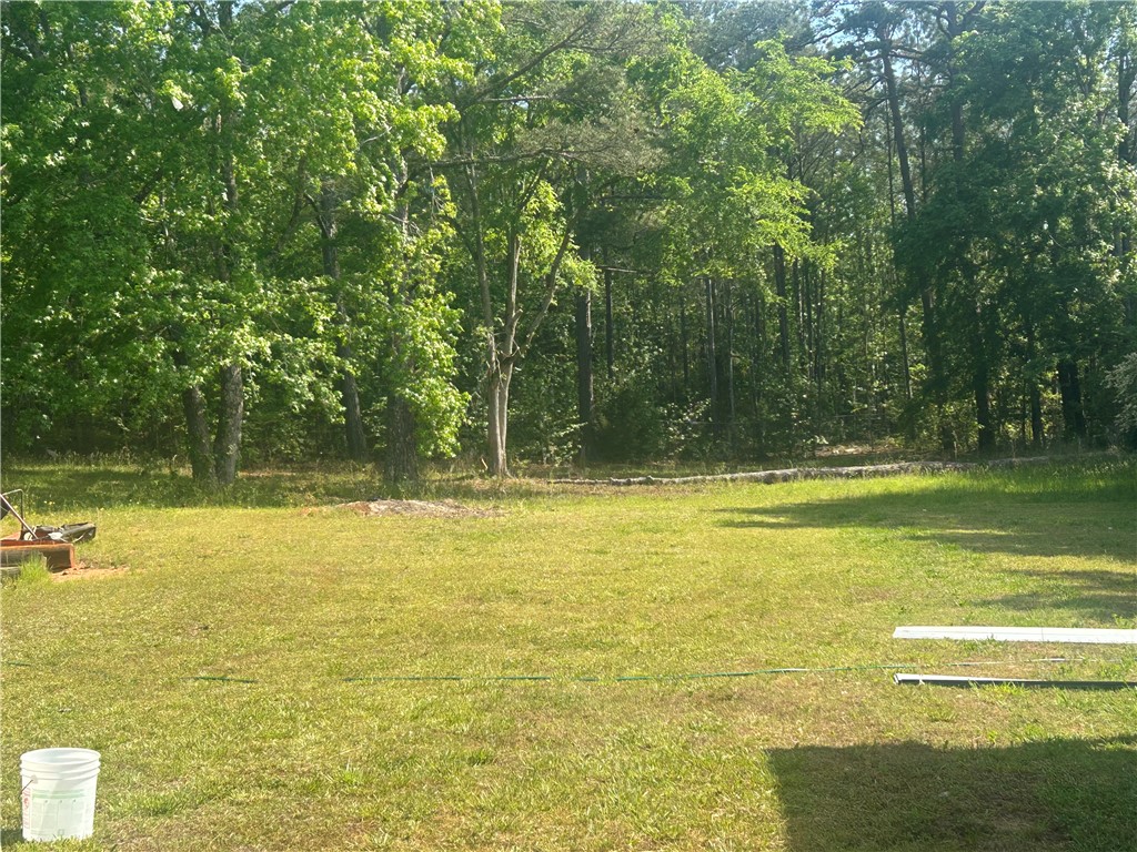 7408 Riverfork Road Waterloo, SC 29384 - Photo 8 of 42