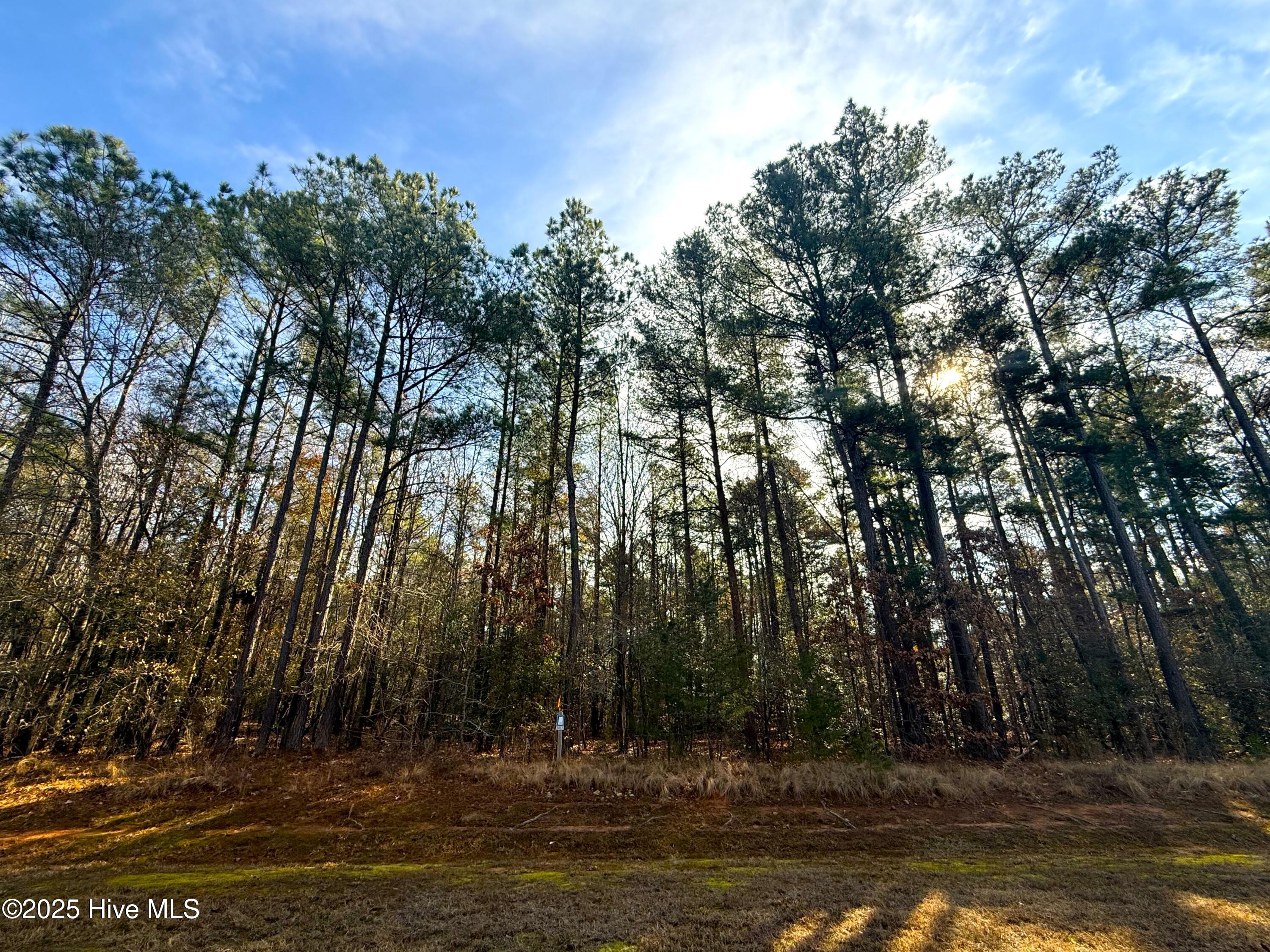 136 North State Lane Rockingham, NC 28379 - Photo 11 of 19 IMG_6919