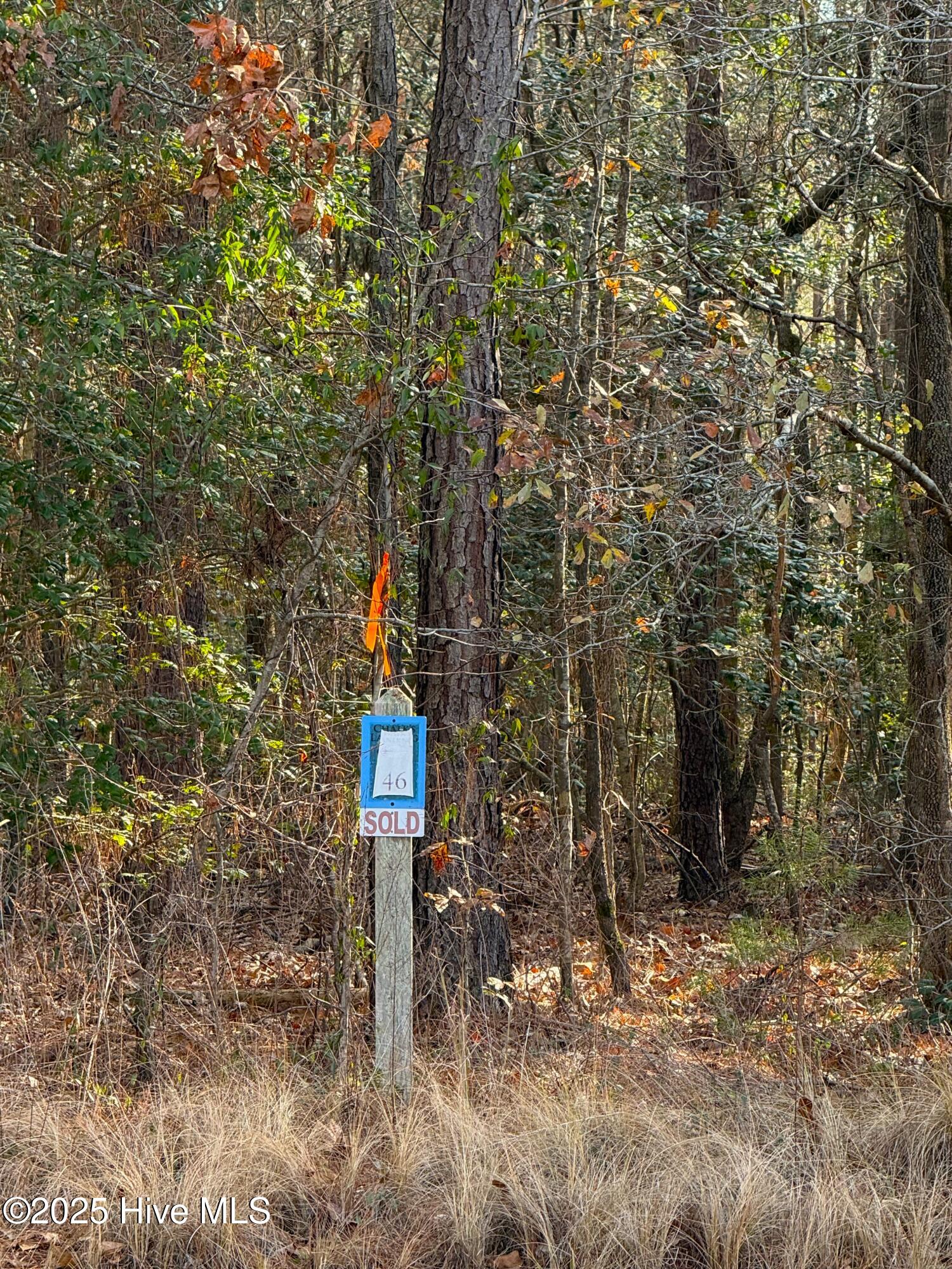 136 North State Lane Rockingham, NC 28379 - Photo 13 of 19 IMG_6920