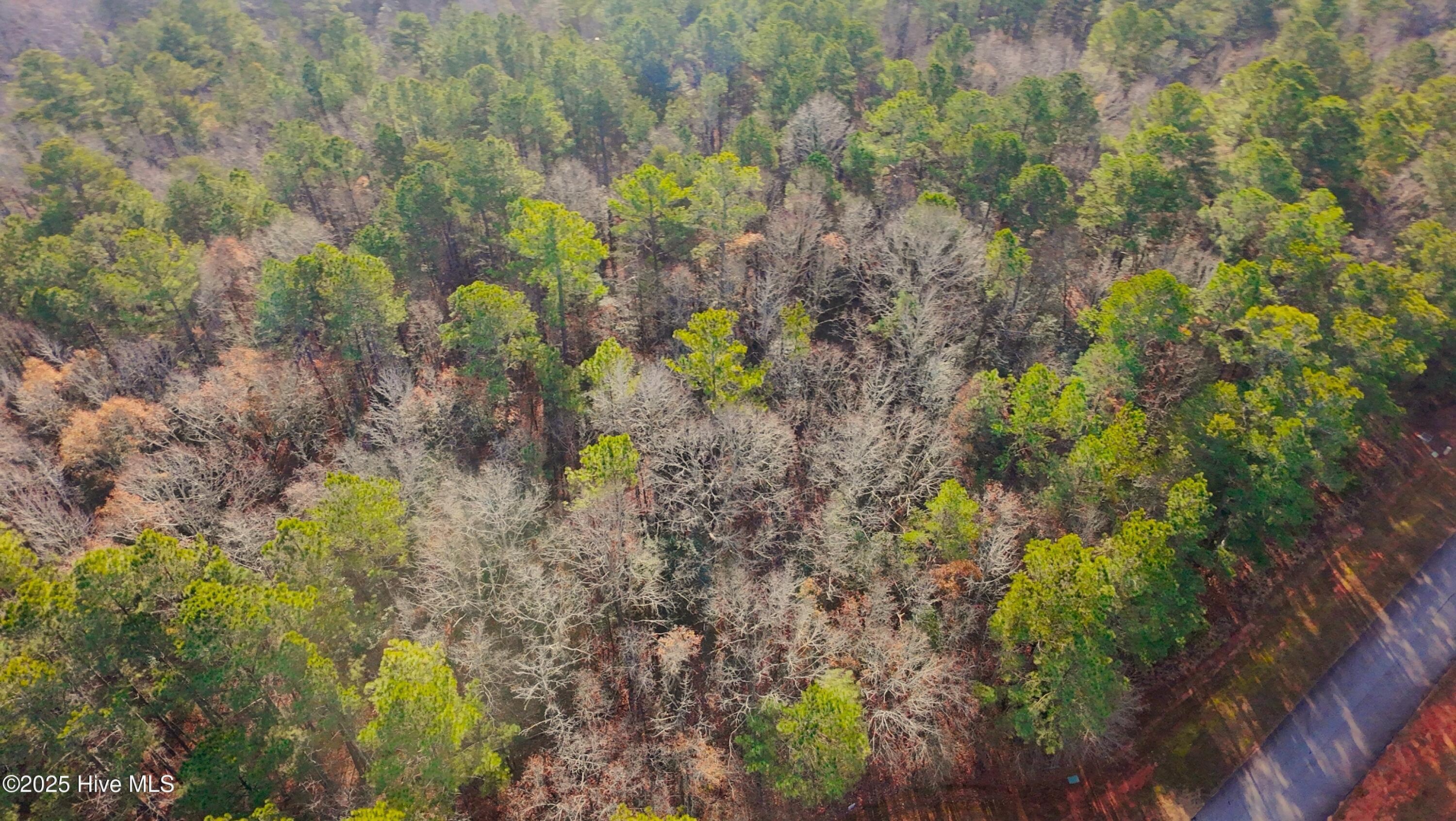 136 North State Lane Rockingham, NC 28379 - Photo 4 of 19 dji_fly_20251227_100816_0202_17668712352