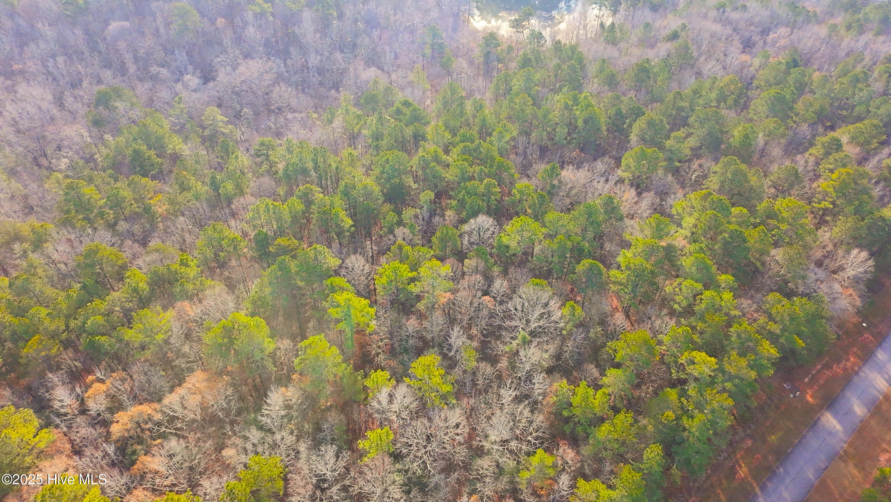 136 North State Lane Rockingham, NC 28379 - Photo 6 of 19 dji_fly_20251227_100846_0204_17668712326