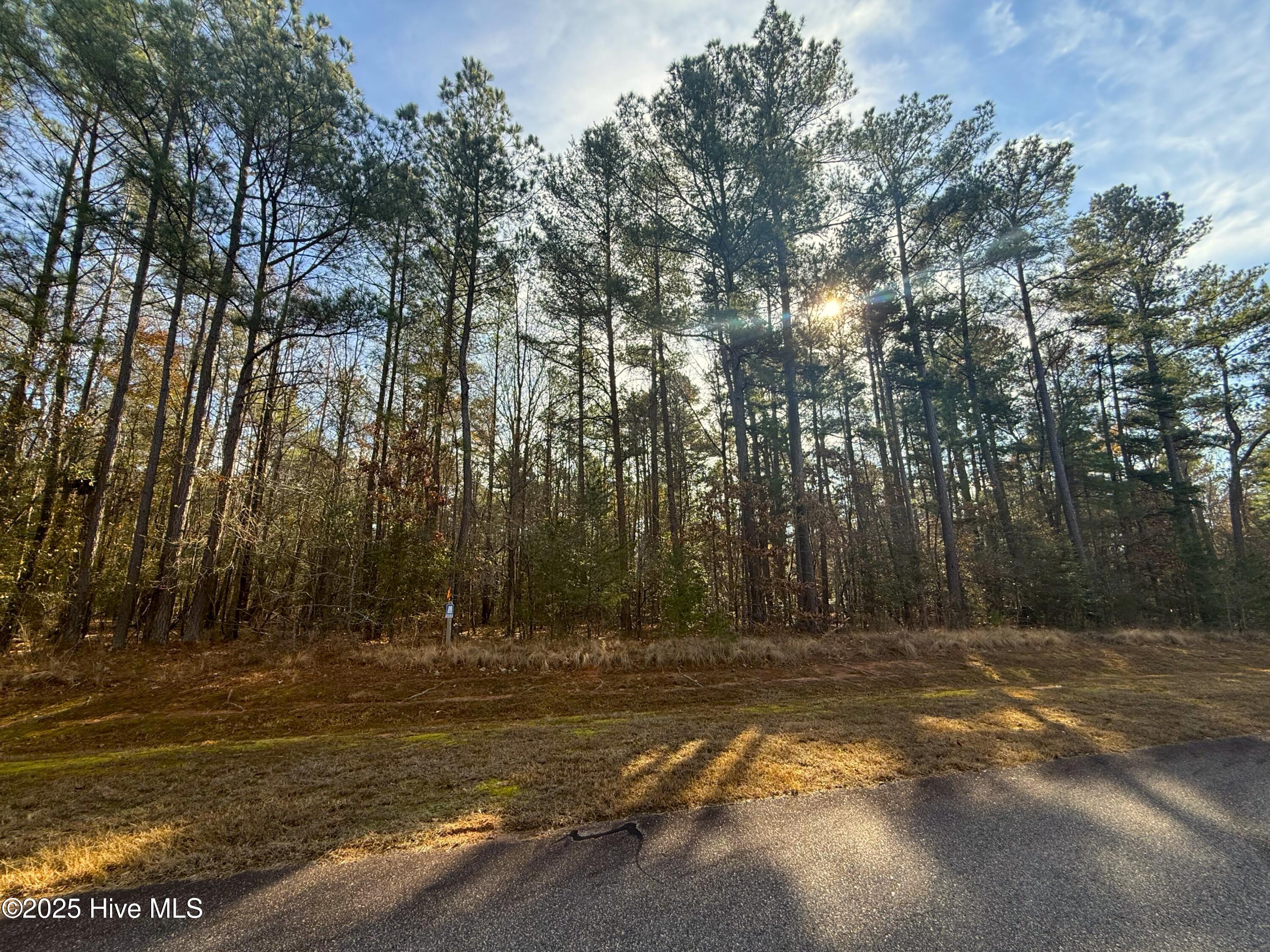 136 North State Lane Rockingham, NC 28379 - Photo 10 of 19 IMG_6917