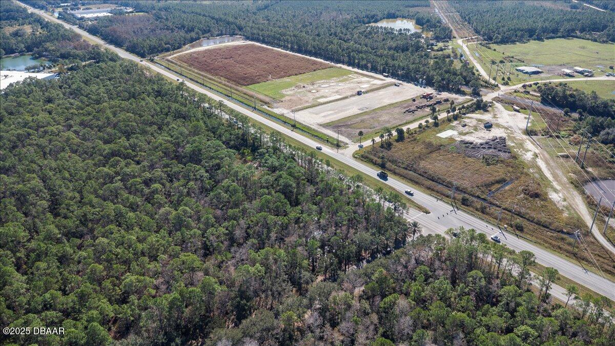 10090 U.S. Rte 1 Ormond Beach, FL 32174 - Photo 16 of 38 a view of a yard with a tree