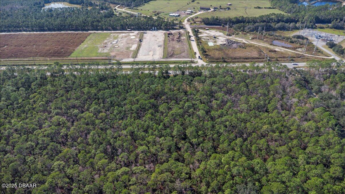 10090 U.S. Rte 1 Ormond Beach, FL 32174 - Photo 19 of 38 a view of yard along with trees