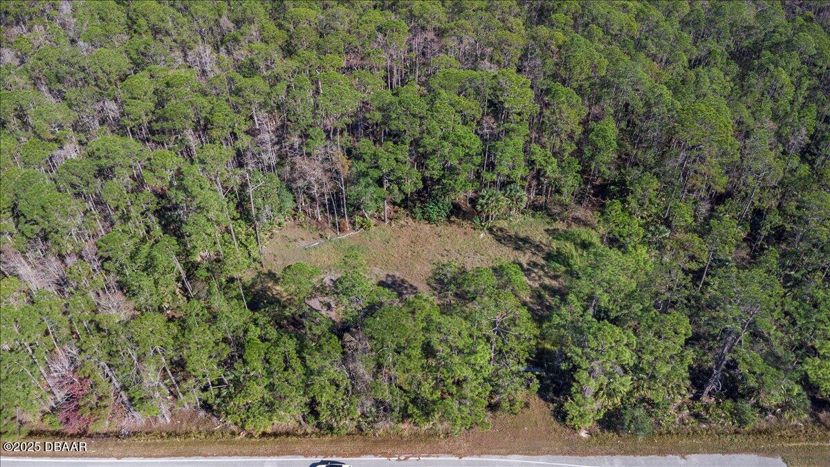 10090 U.S. Rte 1 Ormond Beach, FL 32174 - Photo 30 of 38 a view of a yard