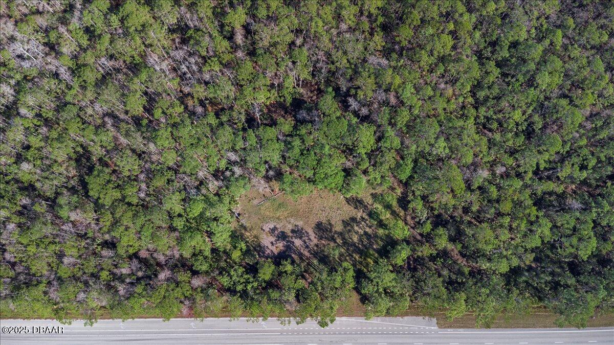 10090 U.S. Rte 1 Ormond Beach, FL 32174 - Photo 3 of 38 a view of a yard