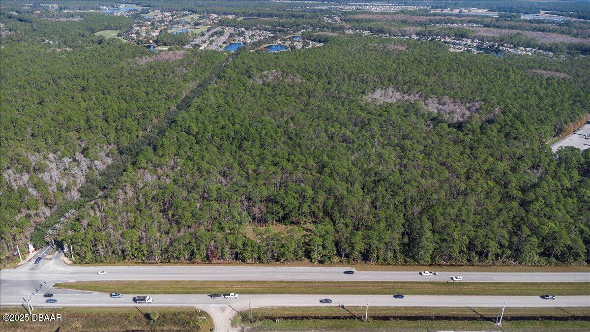 10090 U.S. Rte 1 Ormond Beach, FL 32174 - Photo 5 of 38 a view of yard with green space