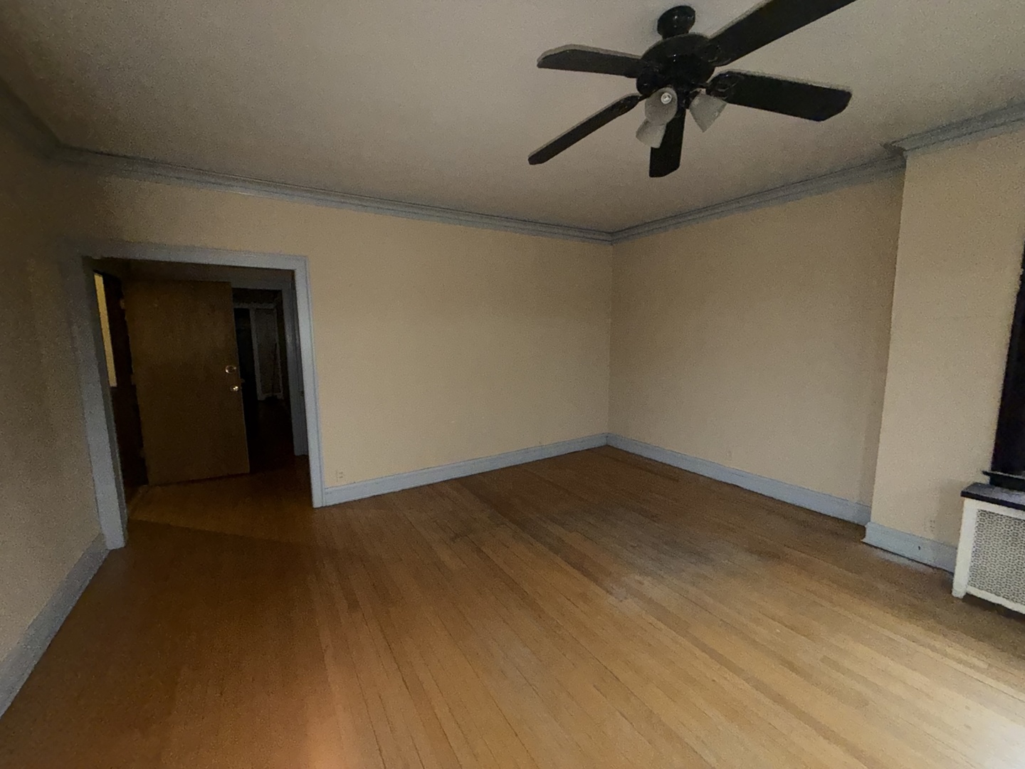 8236 South May Street Chicago, IL 60620 - Photo 3 of 8