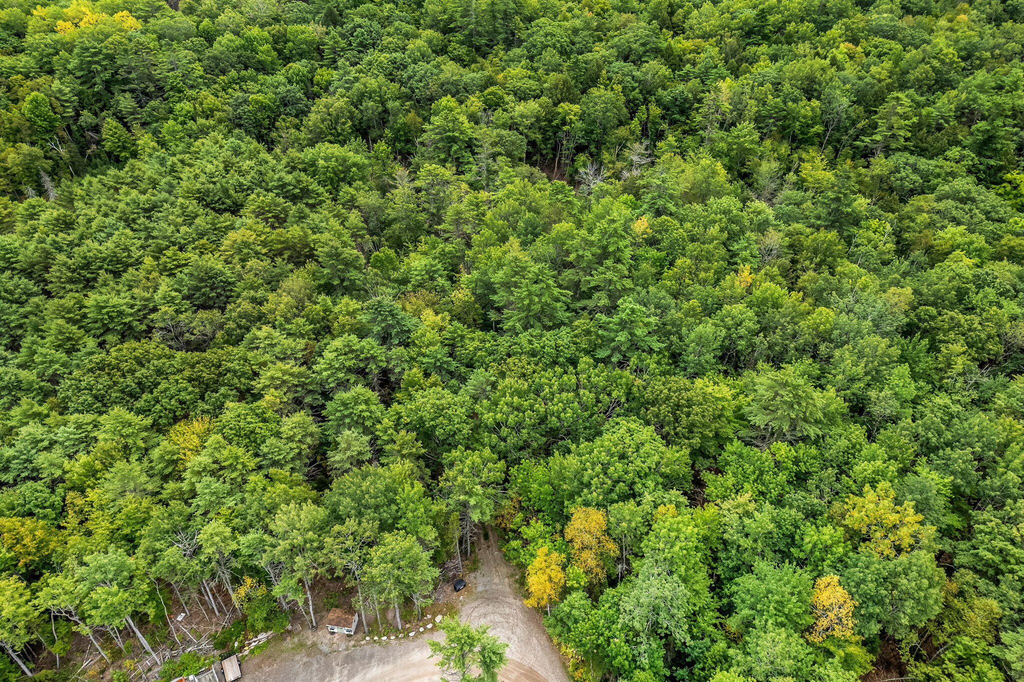 Lot 49 West Burrough Road Bowdoin, ME 04287 - Photo 17 of 22 16-web-or-mls-w-burrough-rd