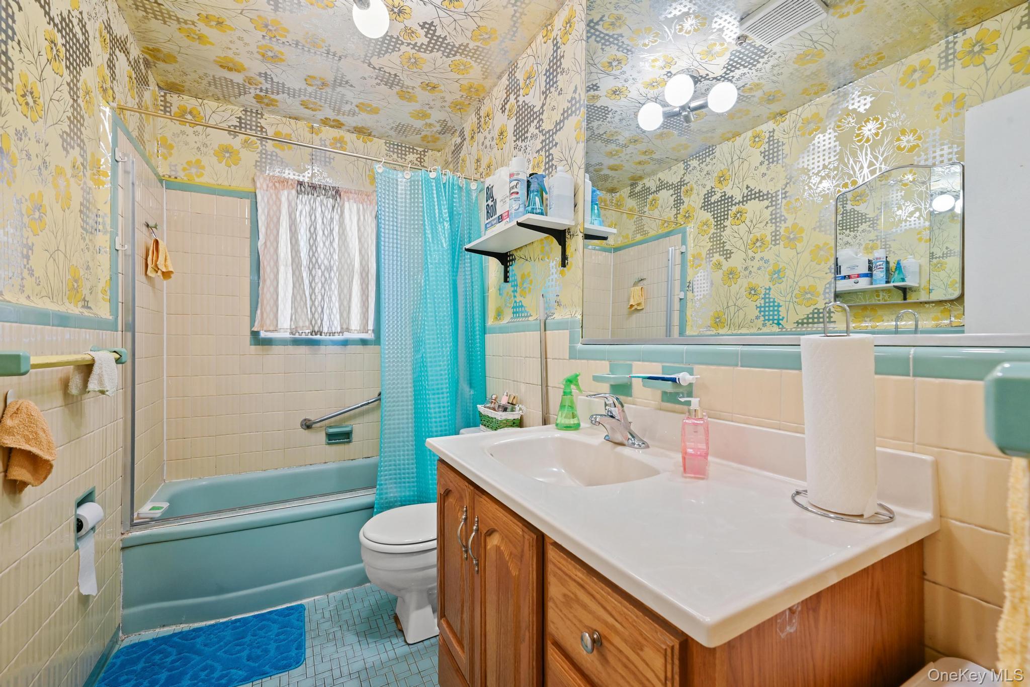 2225 Leighton Road Elmont, NY 11003 - Photo 19 of 26 a bathroom with a sink a toilet and shower