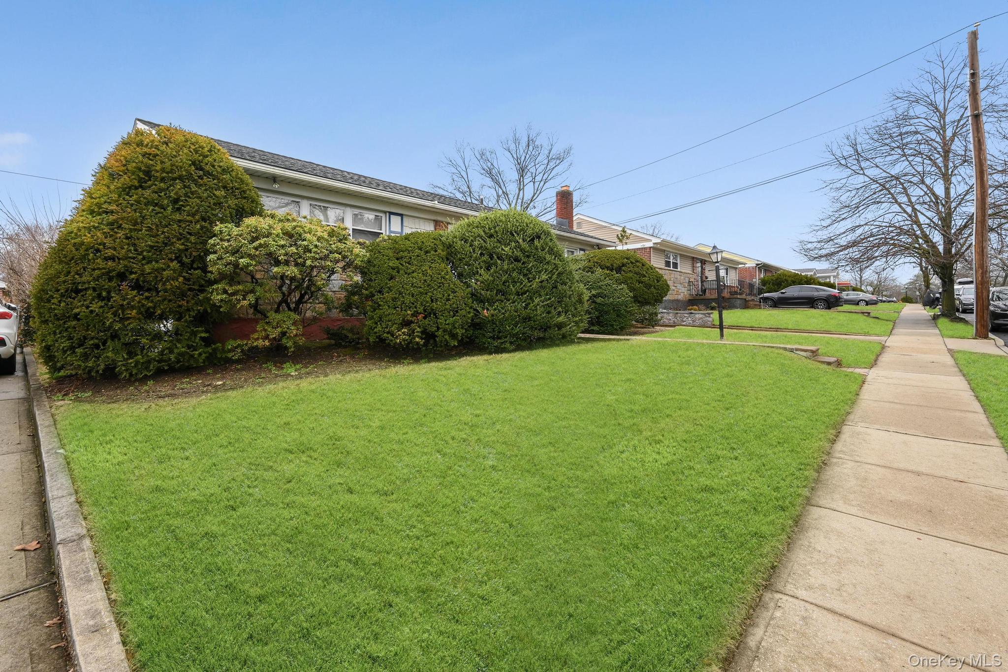 2225 Leighton Road Elmont, NY 11003 - Photo 3 of 26 a view of a back yard