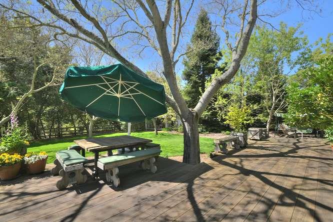 12455 Watsonville Road Gilroy, CA 95020 - Photo 43 of 49 a small garden covered with tall trees