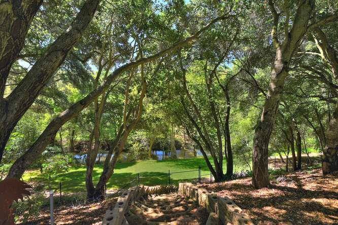 12455 Watsonville Road Gilroy, CA 95020 - Photo 9 of 49 a view of a park with large trees