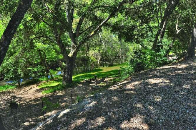 12455 Watsonville Road Gilroy, CA 95020 - Photo 10 of 49 a view of a forest with trees