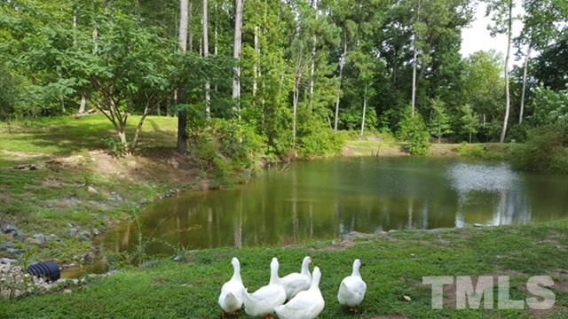 170 Churchill Road Louisburg, NC 27549 - Photo 20 of 25 Gallery Image 20