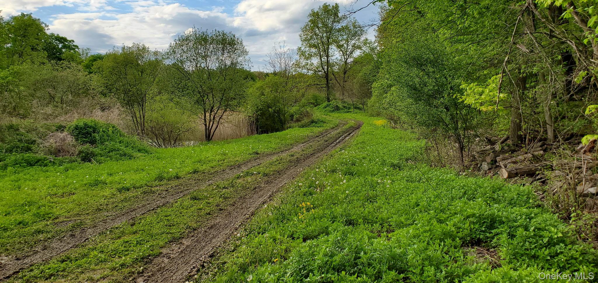 207 Cardinal Road Hyde Park, NY 12538 - Photo 5 of 9 a view of a lush green space