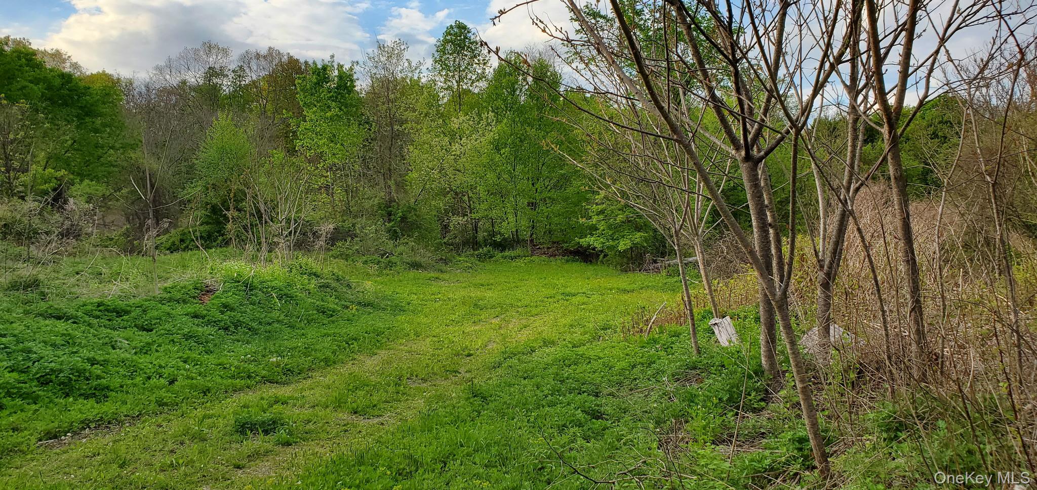 207 Cardinal Road Hyde Park, NY 12538 - Photo 7 of 9 a view of a lush green forest