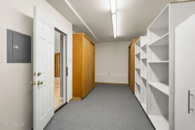 a view of a yard with plants and a trees