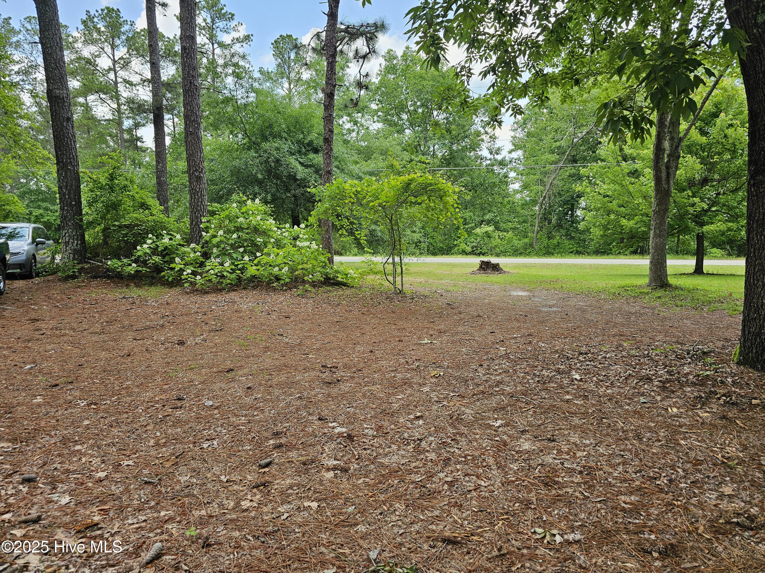 181 Joel Road Carthage, NC 28327 - Photo 15 of 33 20250515_135928