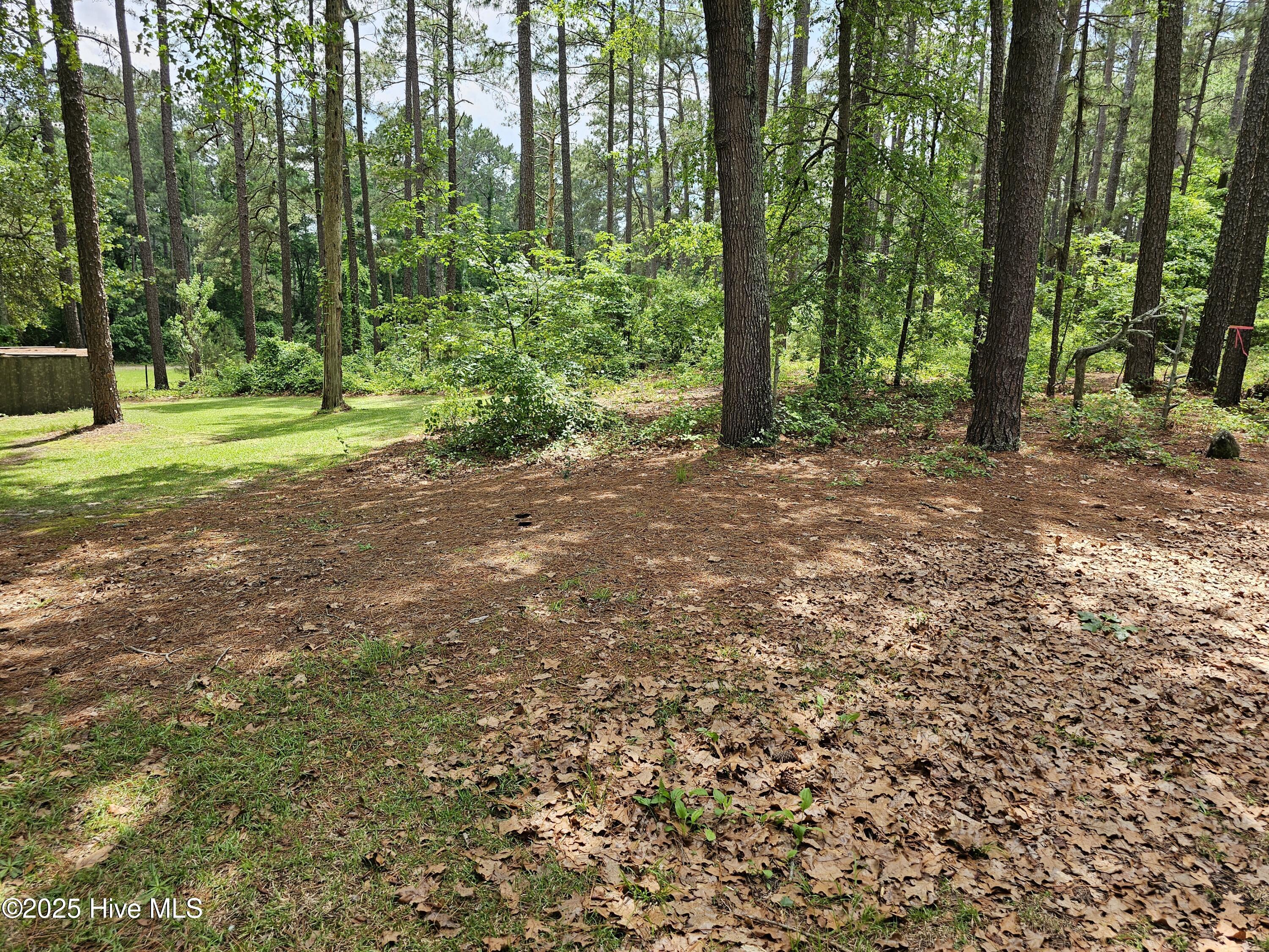 181 Joel Road Carthage, NC 28327 - Photo 16 of 33 20250515_140126