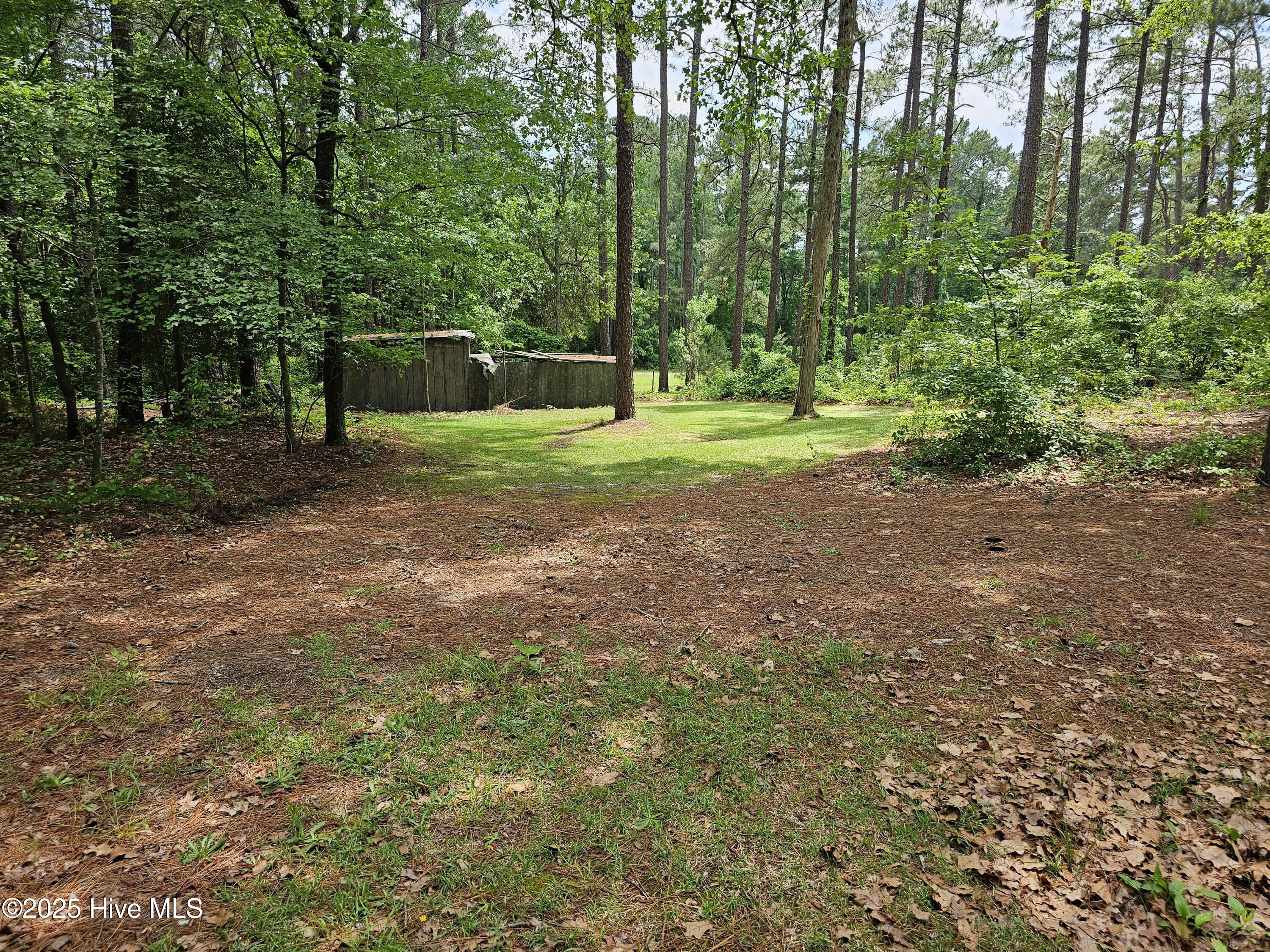 181 Joel Road Carthage, NC 28327 - Photo 17 of 33 20250515_140124
