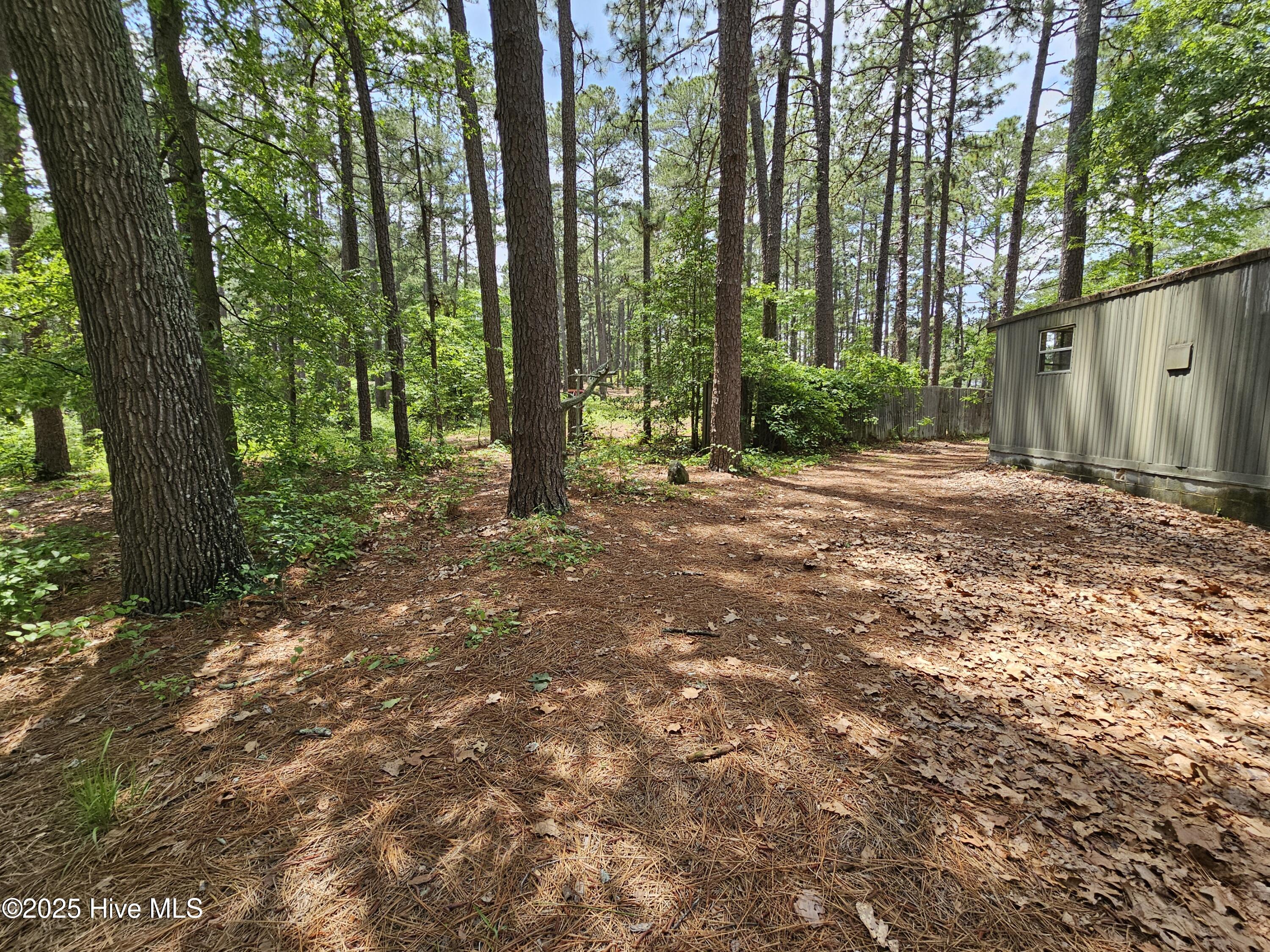 181 Joel Road Carthage, NC 28327 - Photo 21 of 33 20250515_140828