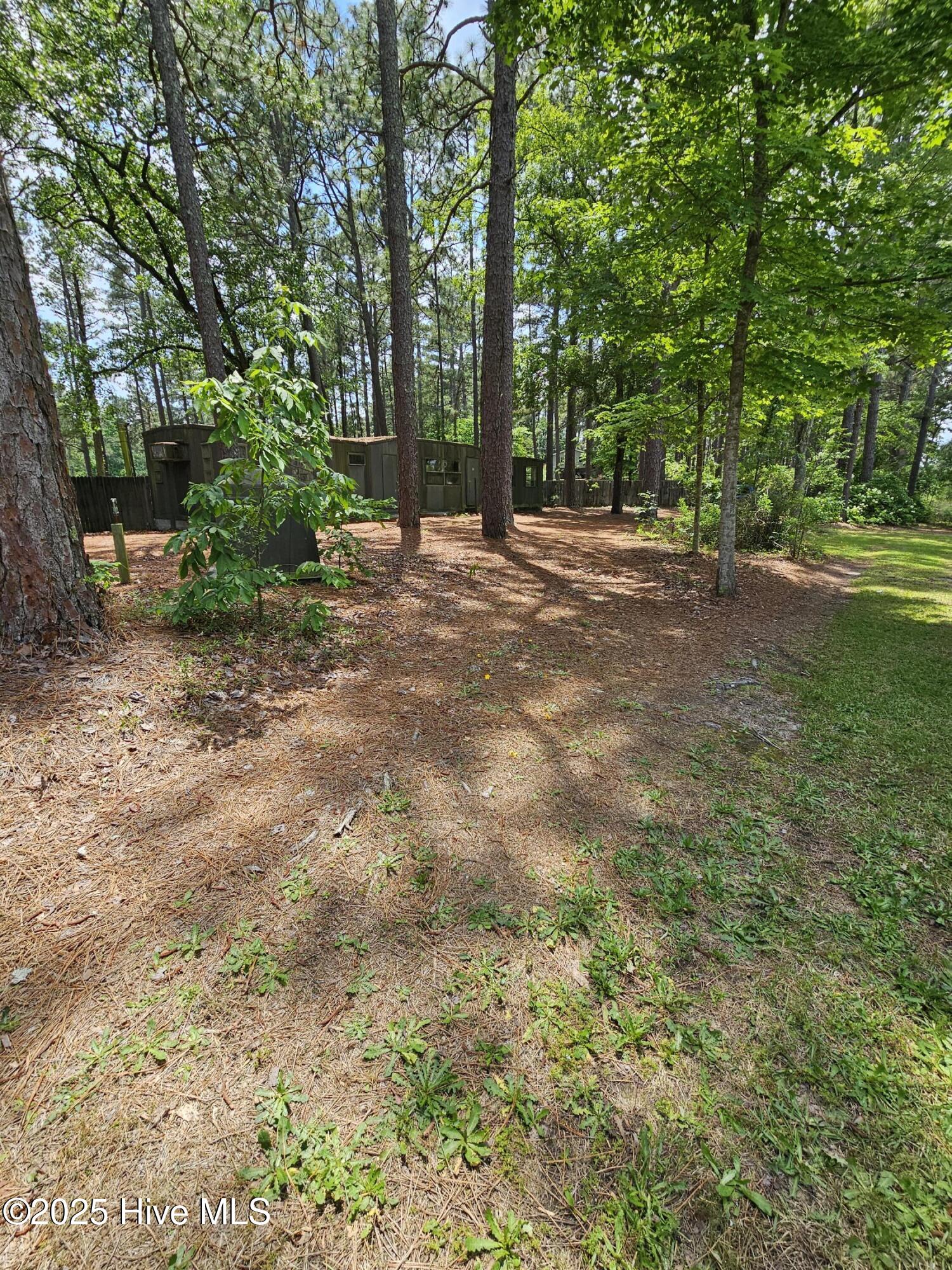 181 Joel Road Carthage, NC 28327 - Photo 23 of 33 20250515_141607