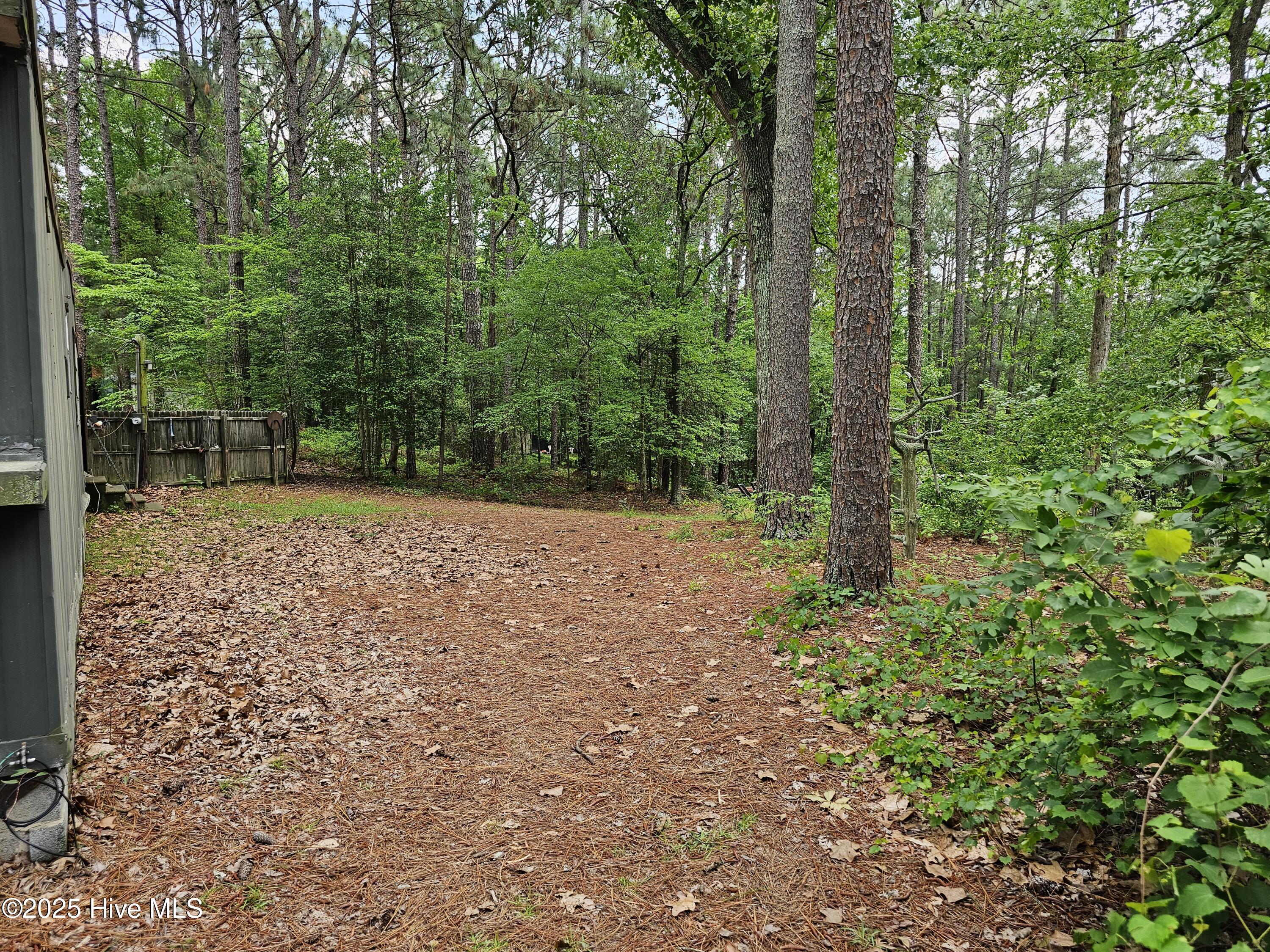 181 Joel Road Carthage, NC 28327 - Photo 25 of 33 20250515_135940