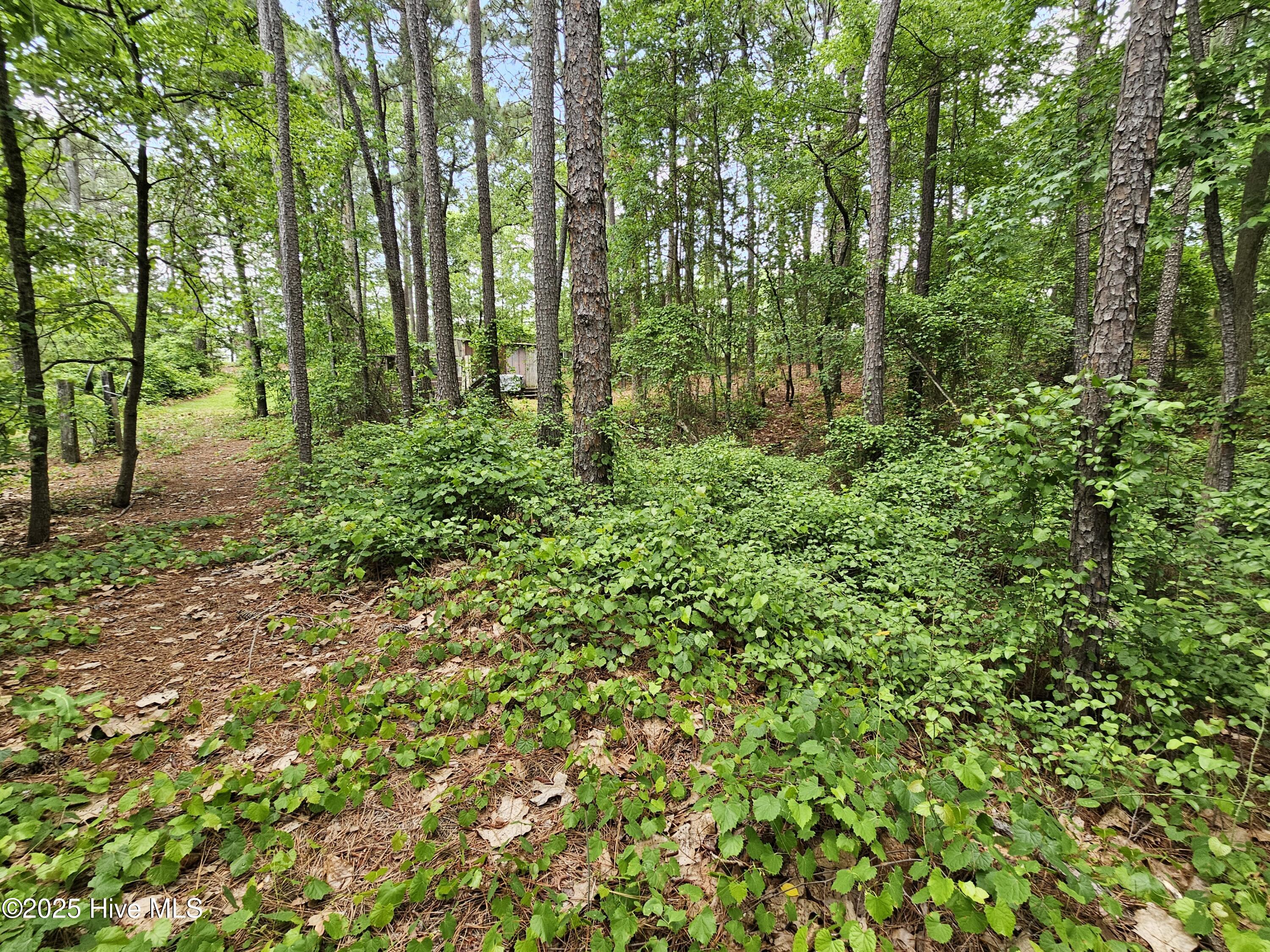 181 Joel Road Carthage, NC 28327 - Photo 29 of 33 20250515_140444