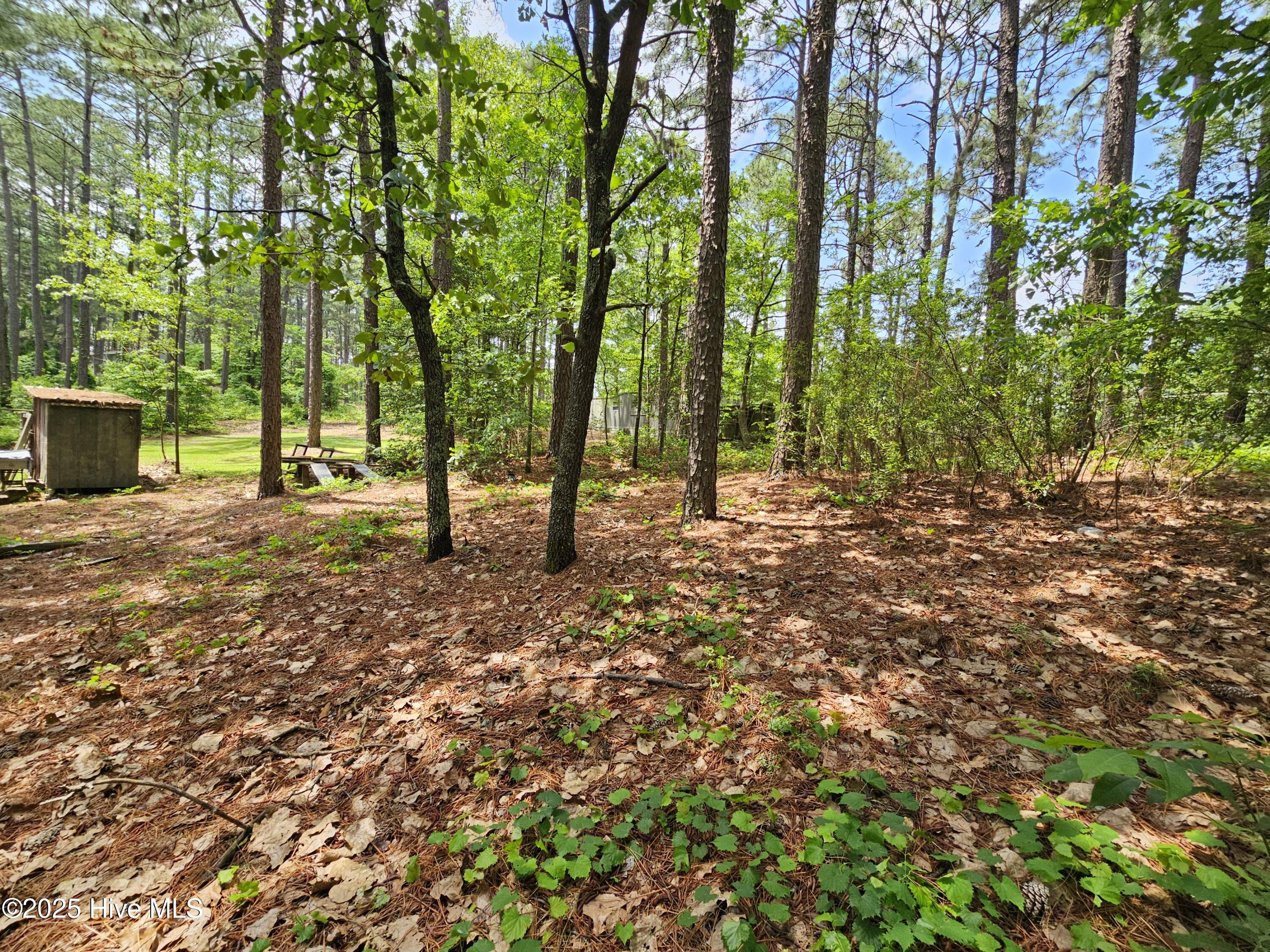 181 Joel Road Carthage, NC 28327 - Photo 30 of 33 20250515_140628