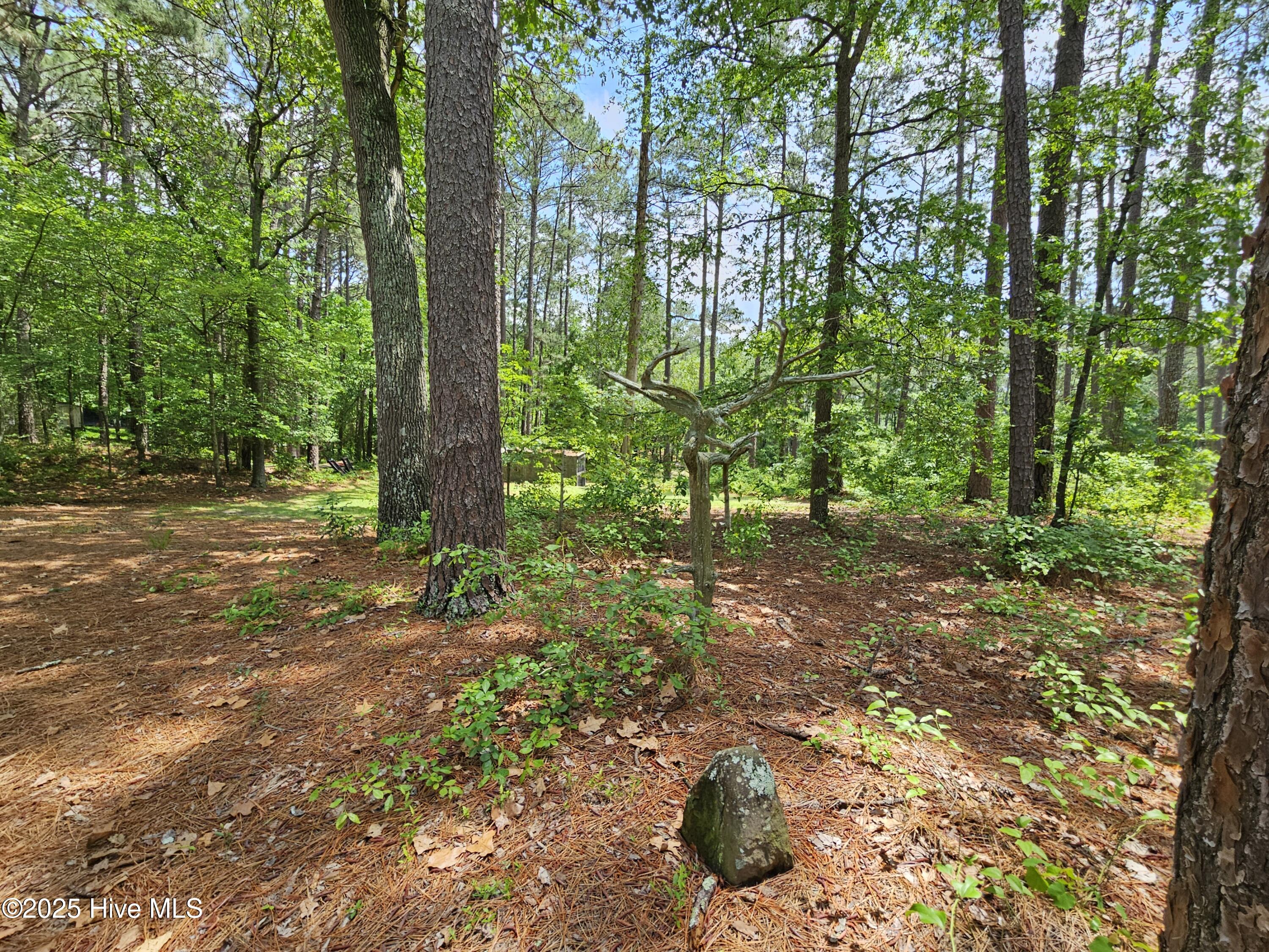 181 Joel Road Carthage, NC 28327 - Photo 31 of 33 20250515_140758
