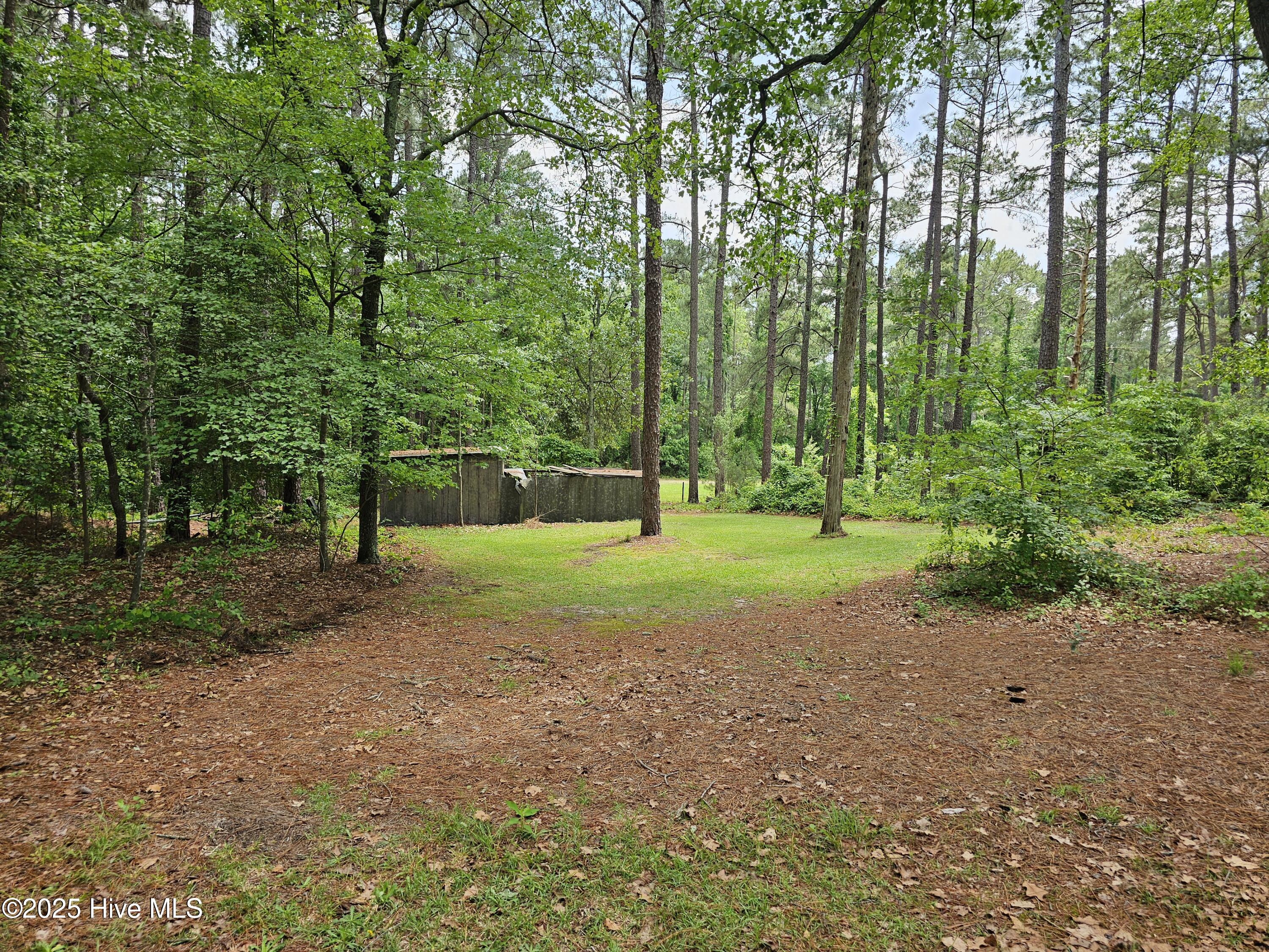181 Joel Road Carthage, NC 28327 - Photo 33 of 33 20250515_140014