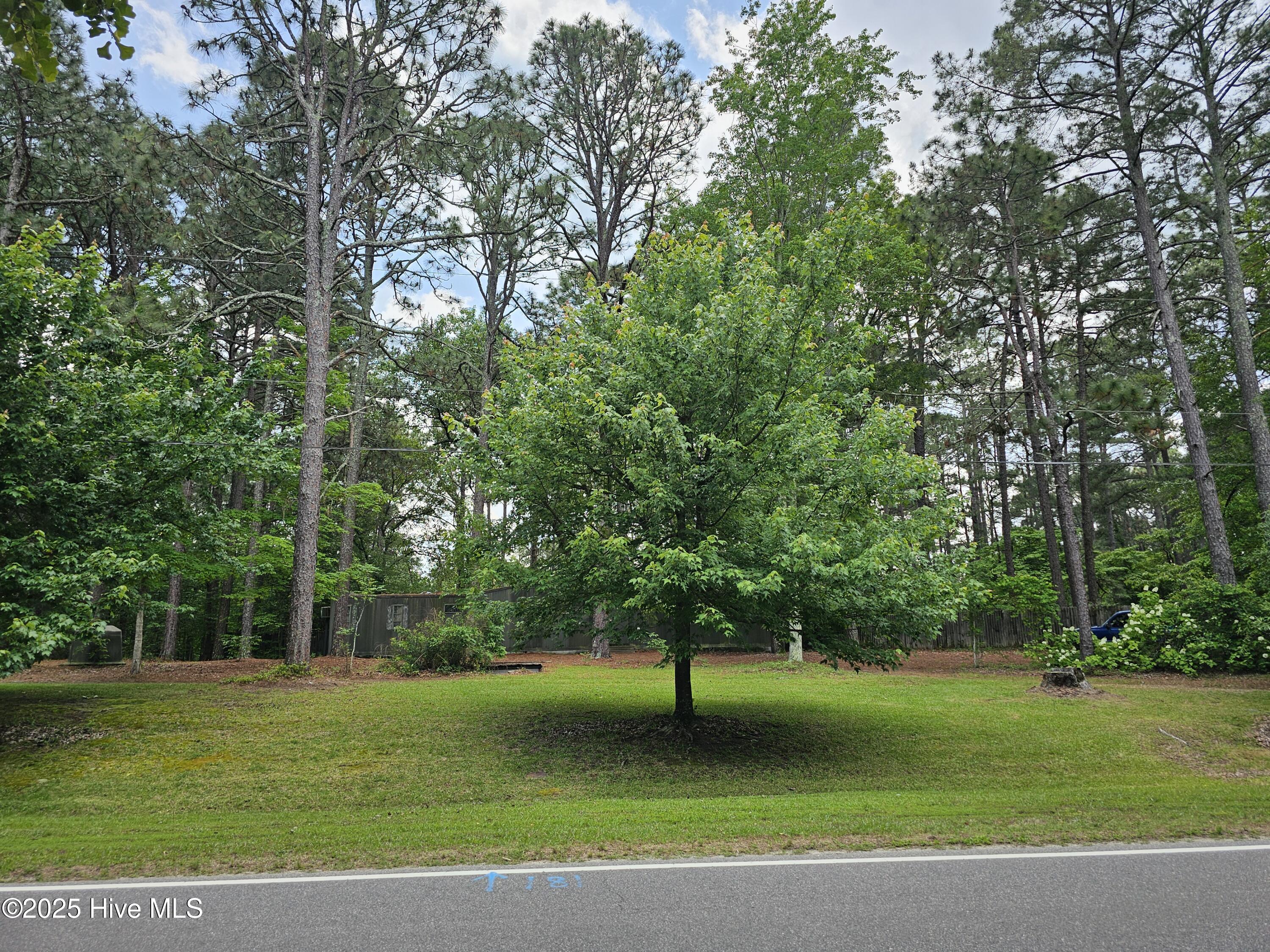 181 Joel Road Carthage, NC 28327 - Photo 6 of 33 20250515_135828
