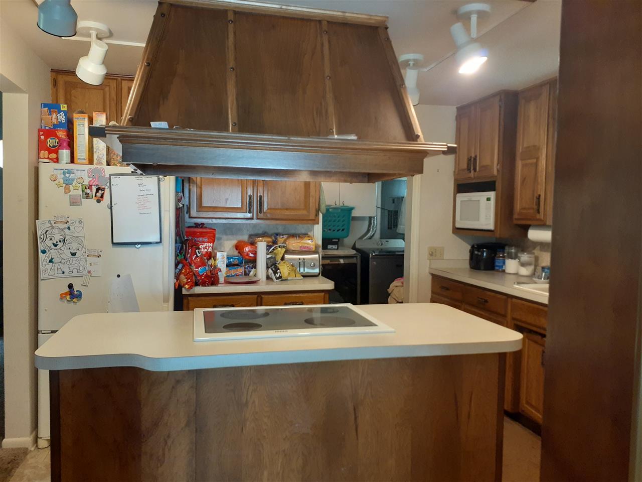 2850 Rhodes Road Rhodes, MI 48652 - Photo 27 of 52