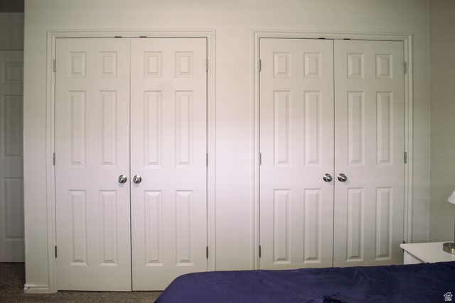 1706 West 1300th Street South Springville, UT 84663 - Photo 13 of 35 double closets