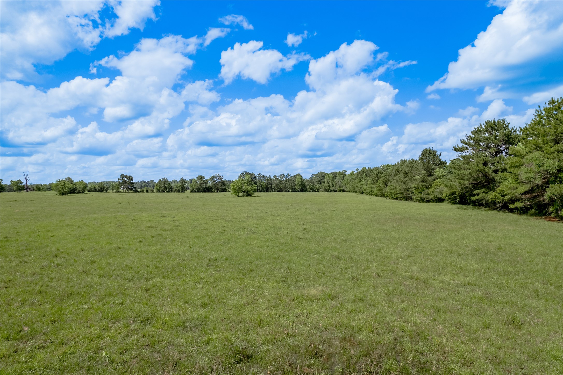 Tbd Turner Street Groveton, TX 75845 - Photo 7 of 10