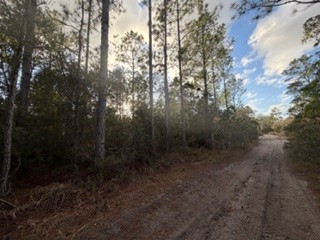 880 Still Road Pierson, FL 32180 - Photo 7 of 7