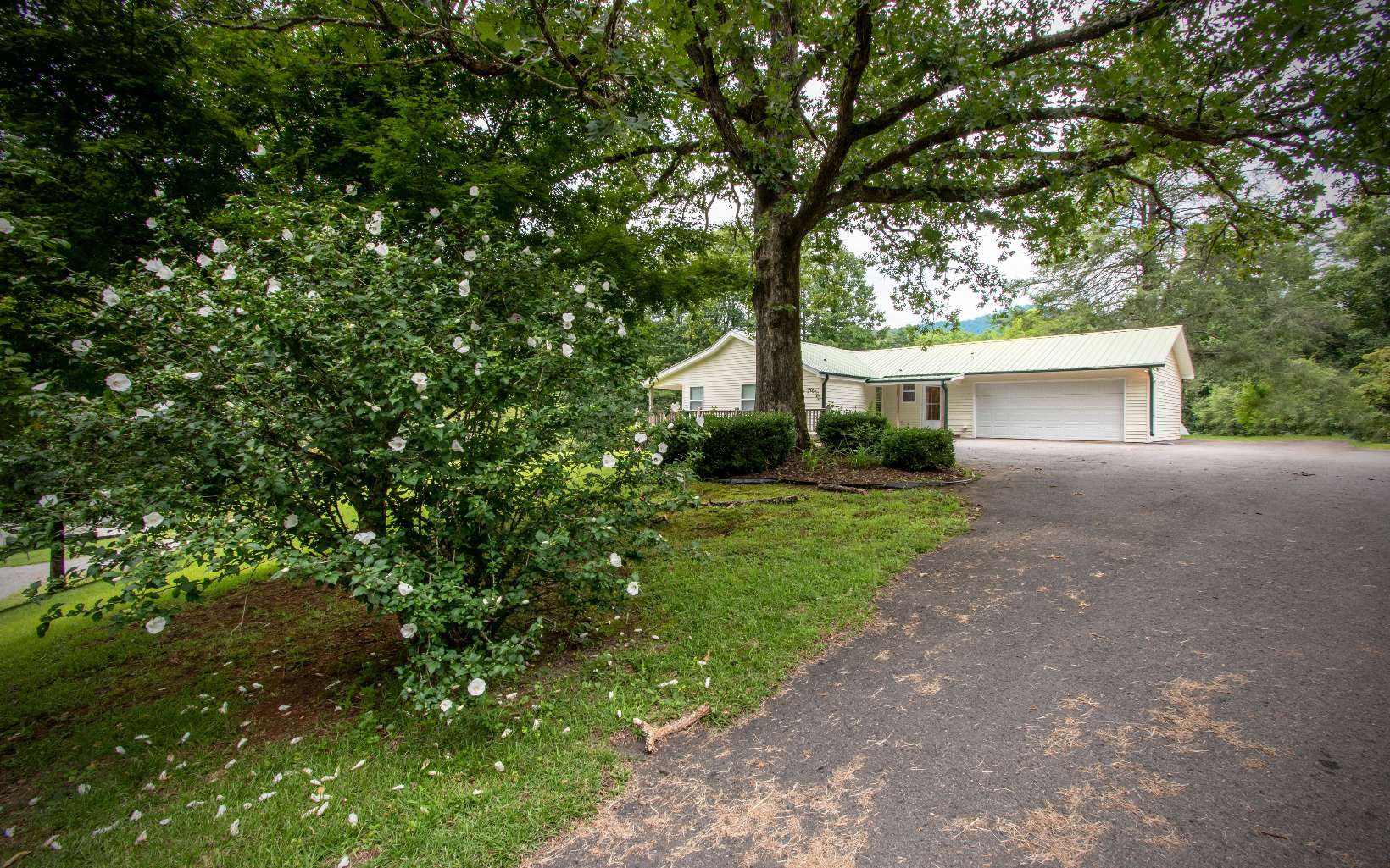 149 Dillard Road Murphy, NC 28906 - Photo 38 of 45 Additional View