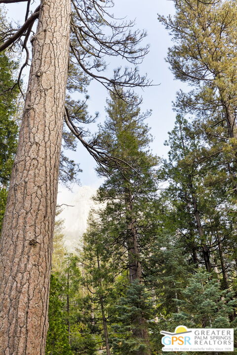 24601 Fern Valley Road Idyllwild, CA 92549 - Photo 45 of 50 a view of lake from a building