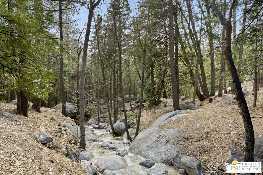 24601 Fern Valley Road Idyllwild, CA 92549 - Photo 48 of 50 a view of a covered with snow in the background