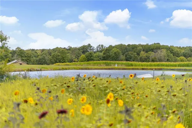 a view of a lake with houses in the back