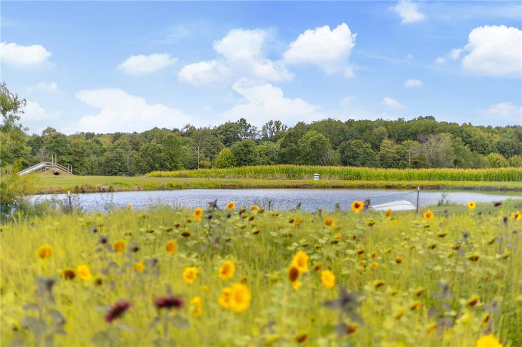 206 Lee Road Grove City, PA 16127 - Photo 7 of 45 a view of a lake with houses in the back