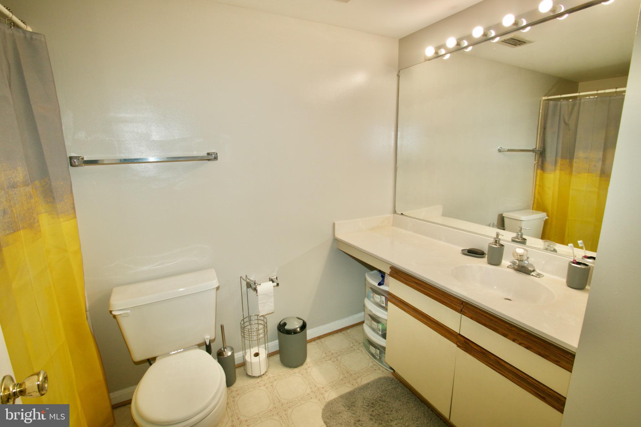1019 Fallcrest Court, Unit 302 Bowie, MD 20721 - Photo 19 of 34 owner's en-suite bath