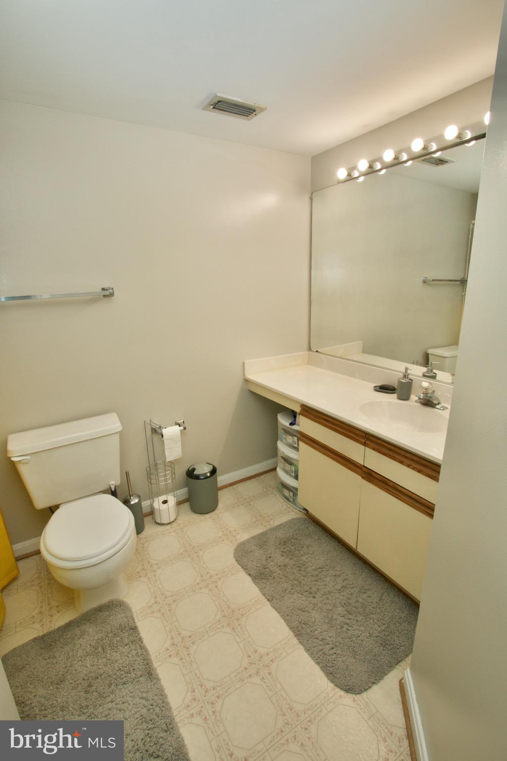 1019 Fallcrest Court, Unit 302 Bowie, MD 20721 - Photo 20 of 34 owner's en-suite bath