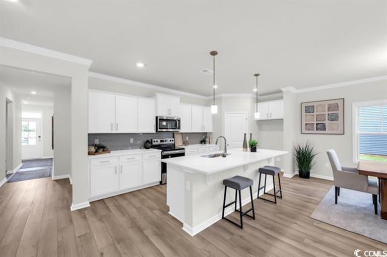 3052 Gadwall Drive Aynor, SC 29511 - Photo 3 of 36